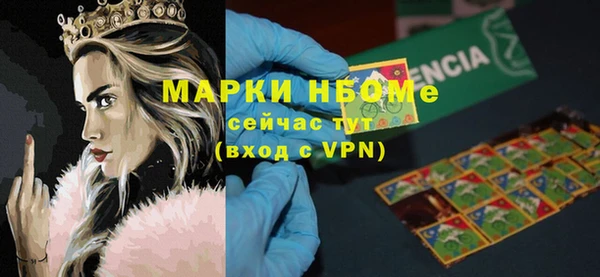 прущий лед Алзамай