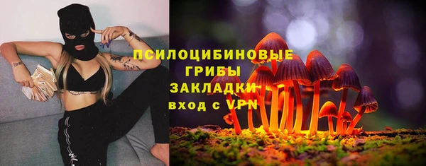 прущий лед Алзамай