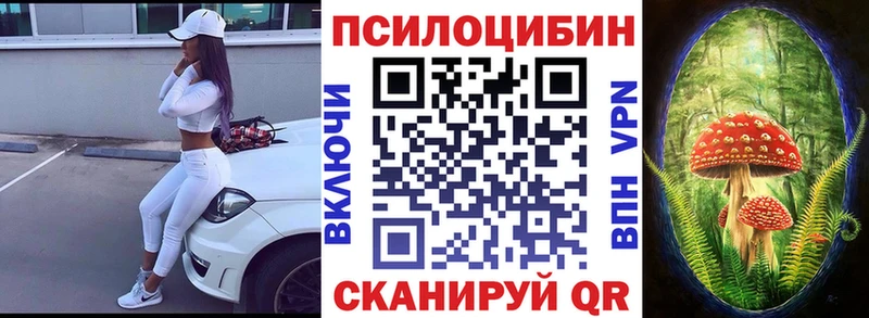 закладка  Строитель  Псилоцибиновые грибы ЛСД 